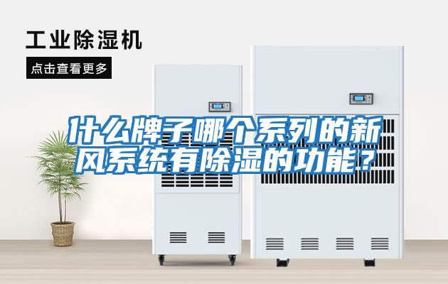 什么牌子哪個(gè)系列的新風(fēng)系統(tǒng)有除濕的功能？