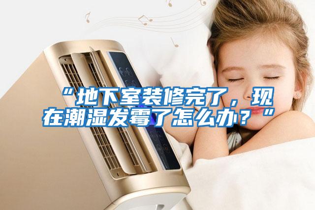 “地下室裝修完了，現(xiàn)在潮濕發(fā)霉了怎么辦？”