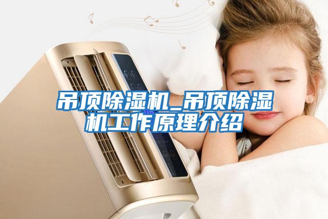 吊頂除濕機_吊頂除濕機工作原理介紹