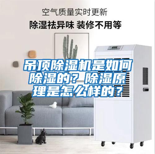 吊頂除濕機是如何除濕的？除濕原理是怎么樣的？