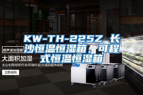 KW-TH-225Z 長(zhǎng)沙恒溫恒濕箱，可程式恒溫恒濕箱