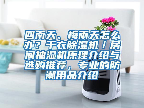 回南天、梅雨天怎么辦？干衣除濕機(jī)／房間抽濕機(jī)原理介紹與選購(gòu)?fù)扑]，專(zhuān)業(yè)的防潮用品介紹