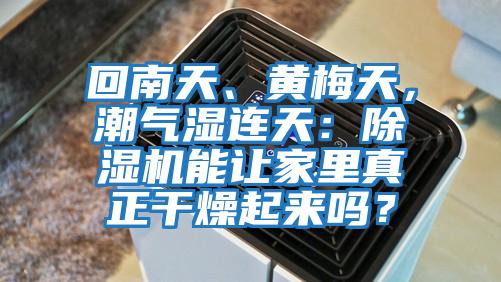 回南天、黃梅天，潮氣濕連天：除濕機能讓家里真正干燥起來嗎？
