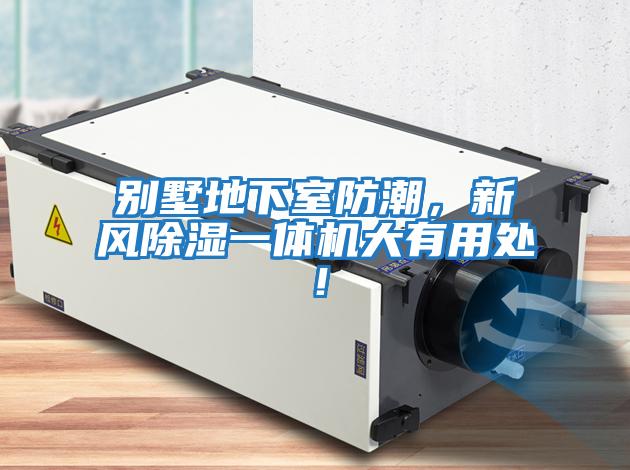 別墅地下室防潮，新風(fēng)除濕一體機大有用處！