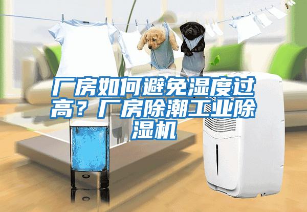 廠房如何避免濕度過(guò)高？廠房除潮工業(yè)除濕機(jī)