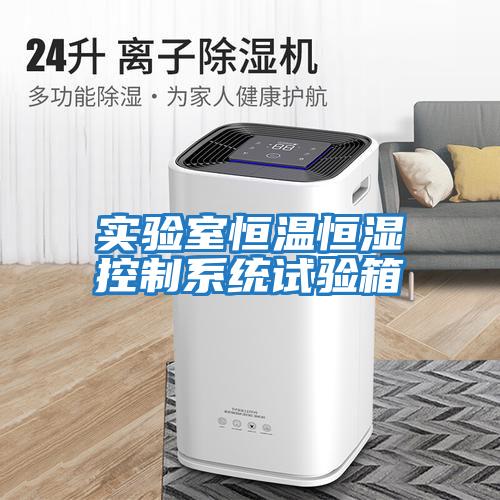 實驗室恒溫恒濕控制系統(tǒng)試驗箱
