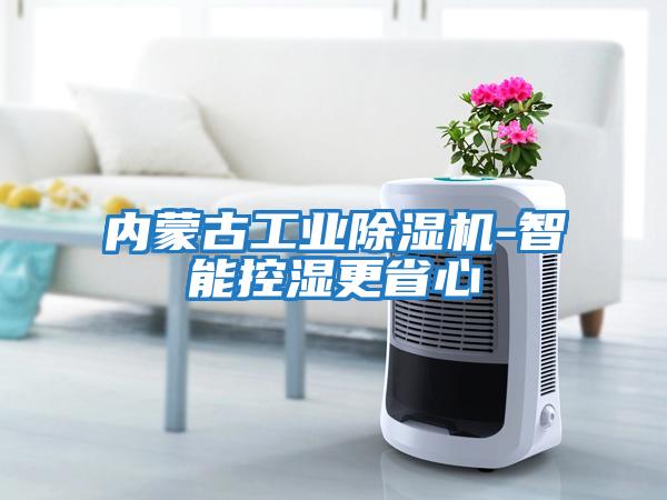 內蒙古工業(yè)除濕機-智能控濕更省心