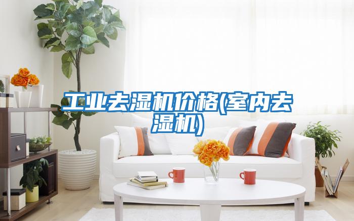 工業去濕機價格(室內去濕機)