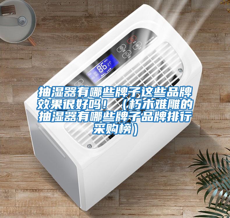 抽濕器有哪些牌子這些品牌效果很好嗎！（朽木難雕的抽濕器有哪些牌子品牌排行采購(gòu)榜）
