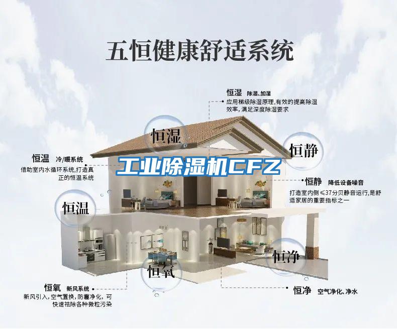 工業除濕機CFZ