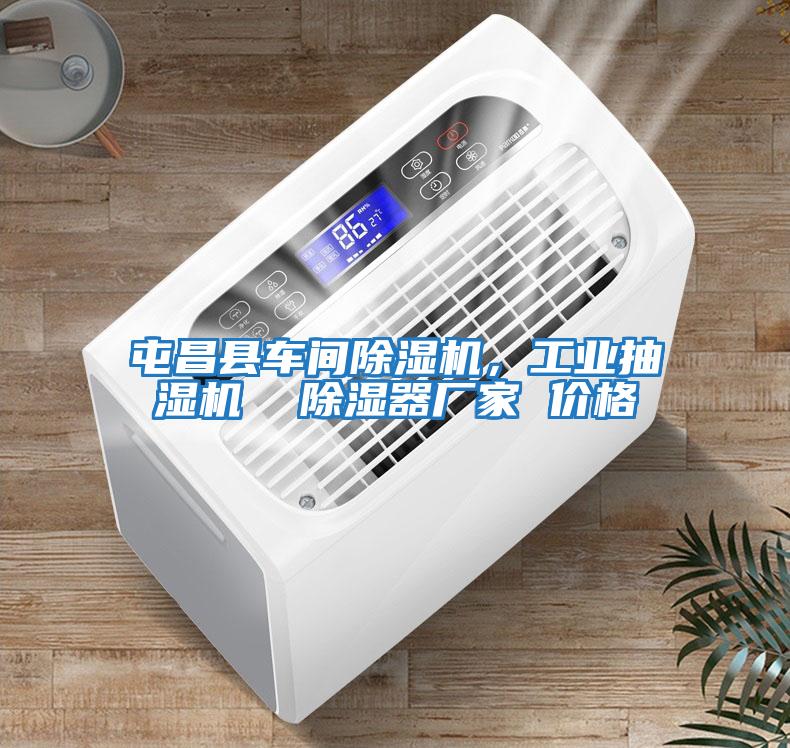 屯昌縣車(chē)間除濕機(jī)，工業(yè)抽濕機(jī)  除濕器廠家 價(jià)格