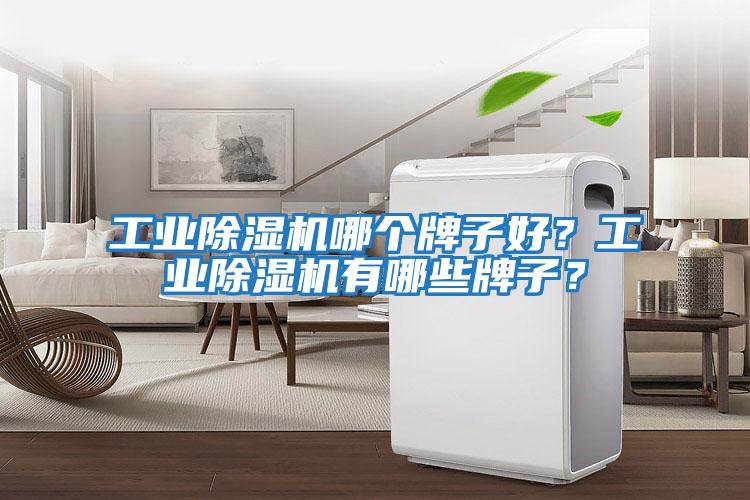 工業除濕機哪個牌子好？工業除濕機有哪些牌子？