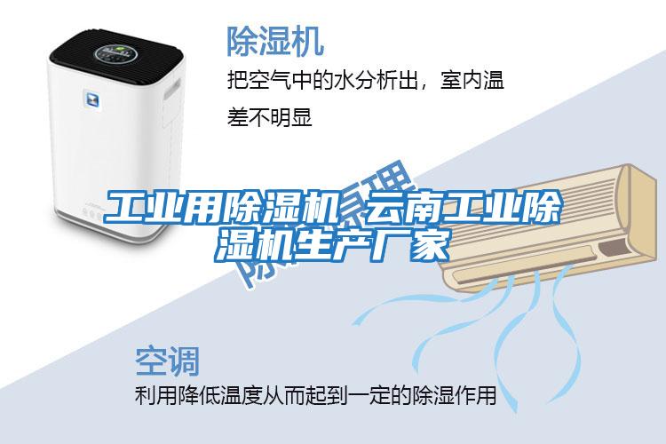 工業(yè)用除濕機 云南工業(yè)除濕機生產廠家