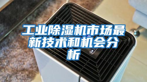 工業(yè)除濕機(jī)市場最新技術(shù)和機(jī)會(huì)分析
