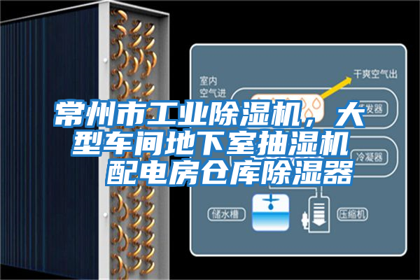 常州市工業(yè)除濕機(jī)，大型車(chē)間地下室抽濕機(jī)  配電房倉(cāng)庫(kù)除濕器