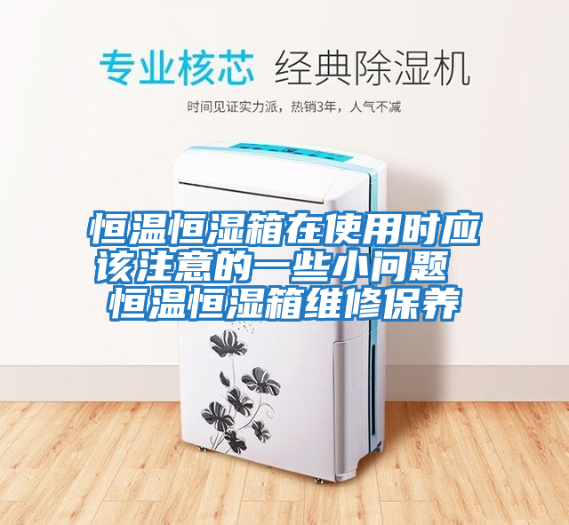 恒溫恒濕箱在使用時應(yīng)該注意的一些小問題 恒溫恒濕箱維修保養(yǎng)