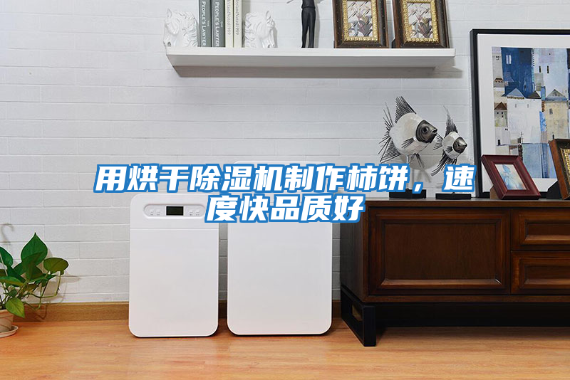 用烘干除濕機制作柿餅，速度快品質好