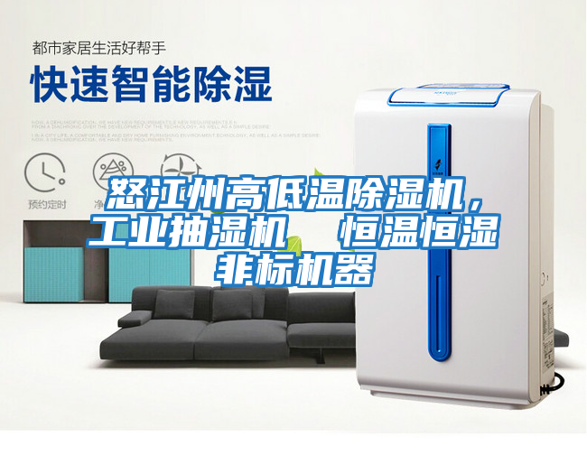 怒江州高低溫除濕機，工業抽濕機  恒溫恒濕非標機器
