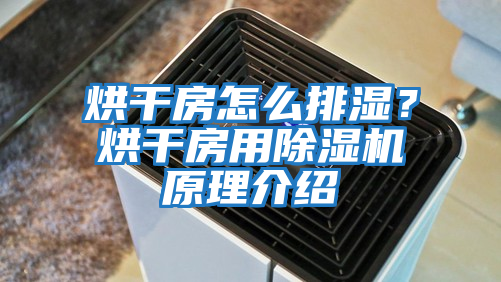 烘干房怎么排濕？烘干房用除濕機原理介紹