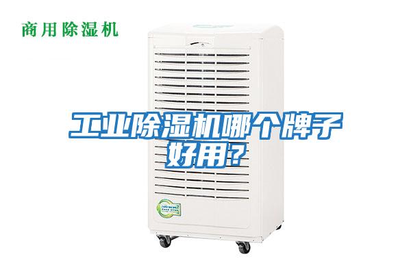工業(yè)除濕機哪個牌子好用？