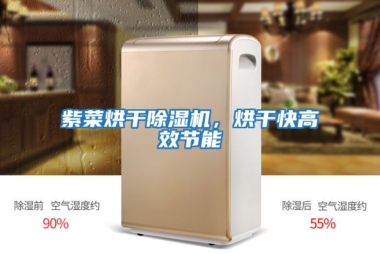 紫菜烘干除濕機，烘干快高效節能