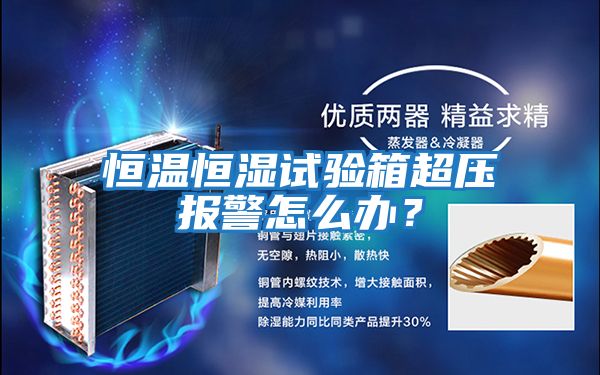 恒溫恒濕試驗箱超壓報警怎么辦？