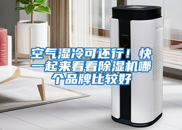 空氣濕冷可還行！快一起來看看除濕機(jī)哪個品牌比較好