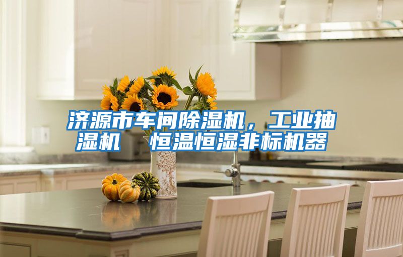 濟源市車間除濕機，工業(yè)抽濕機  恒溫恒濕非標(biāo)機器