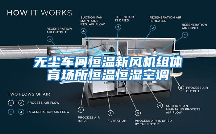 無塵車間恒溫新風機組體育場所恒溫恒濕空調(diào)