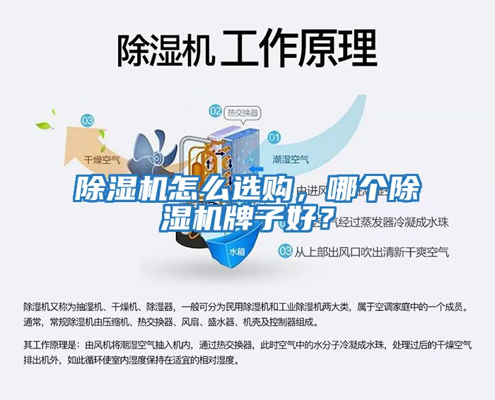 除濕機(jī)怎么選購(gòu)，哪個(gè)除濕機(jī)牌子好？