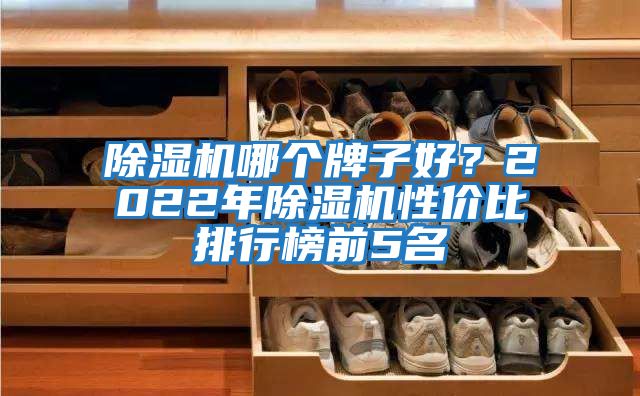 除濕機哪個牌子好？2022年除濕機性價比排行榜前5名