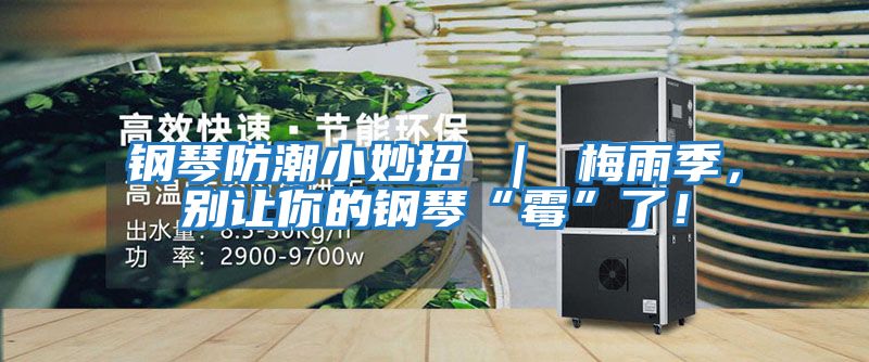 鋼琴防潮小妙招 ｜ 梅雨季，別讓你的鋼琴“霉”了！