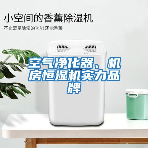 空氣凈化器、機(jī)房恒濕機(jī)實力品牌