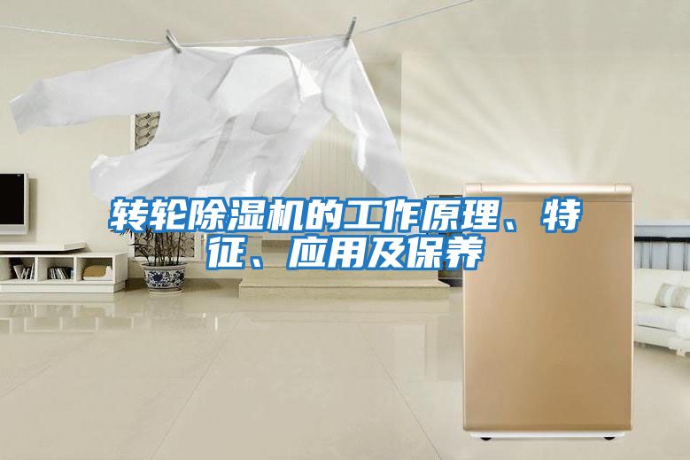 轉(zhuǎn)輪除濕機的工作原理、特征、應(yīng)用及保養(yǎng)