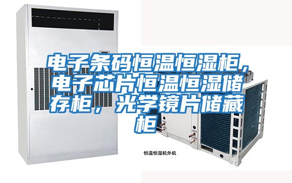 電子條碼恒溫恒濕柜，電子芯片恒溫恒濕儲存柜，光學(xué)鏡片儲藏柜