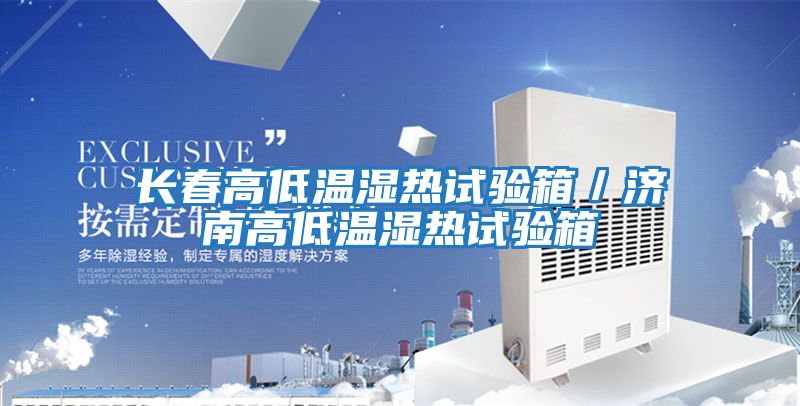 長春高低溫濕熱試驗(yàn)箱／濟(jì)南高低溫濕熱試驗(yàn)箱