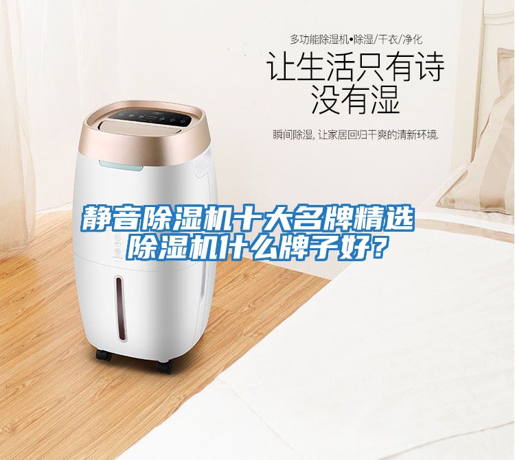 靜音除濕機十大名牌精選 除濕機什么牌子好？