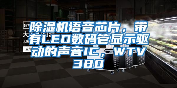 除濕機(jī)語音芯片，帶有LED數(shù)碼管顯示驅(qū)動(dòng)的聲音IC，WTV380