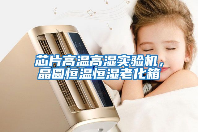 芯片高溫高濕實(shí)驗機(jī)，晶圓恒溫恒濕老化箱
