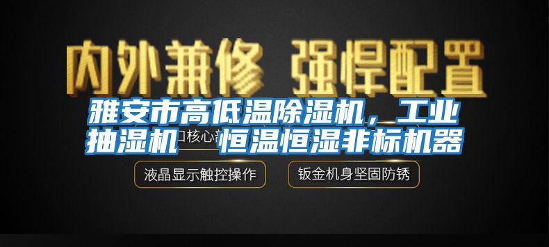 雅安市高低溫除濕機，工業抽濕機  恒溫恒濕非標機器