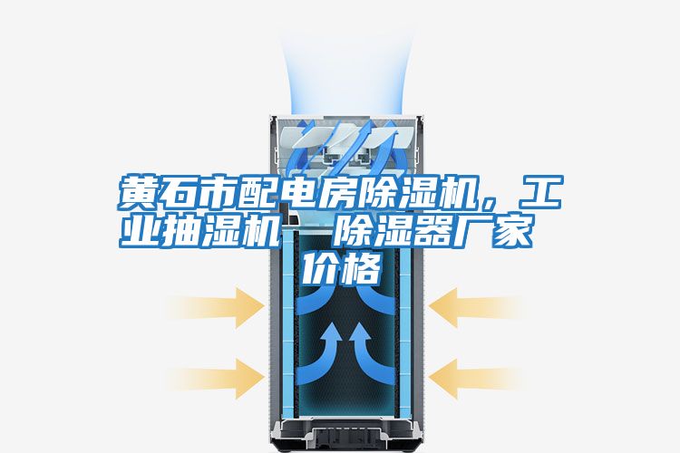黃石市配電房除濕機(jī)，工業(yè)抽濕機(jī)  除濕器廠家 價(jià)格