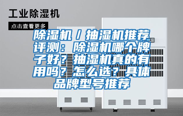 除濕機／抽濕機推薦評測：除濕機哪個牌子好？抽濕機真的有用嗎？怎么選？具體品牌型號推薦