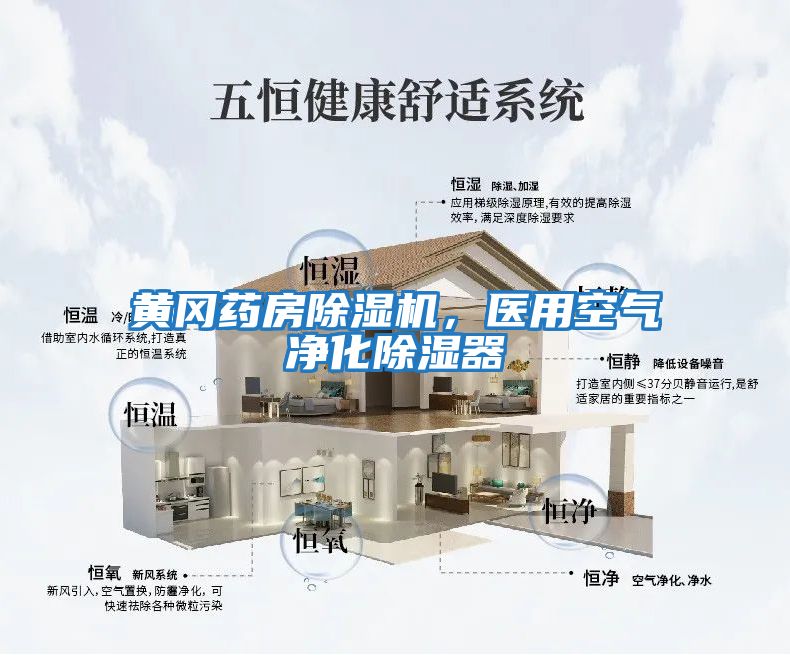 黃岡藥房除濕機，醫用空氣凈化除濕器