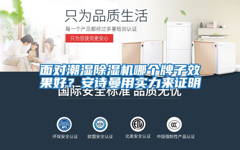 面對潮濕除濕機哪個牌子效果好？安詩曼用實力來證明