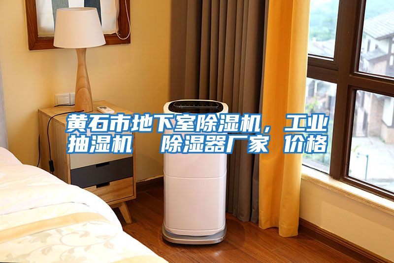 黃石市地下室除濕機(jī)，工業(yè)抽濕機(jī)  除濕器廠家 價(jià)格
