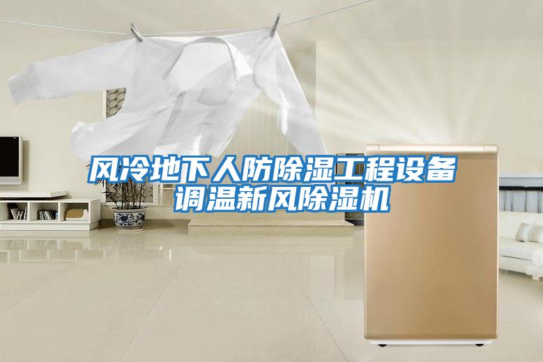風冷地下人防除濕工程設備 調(diào)溫新風除濕機