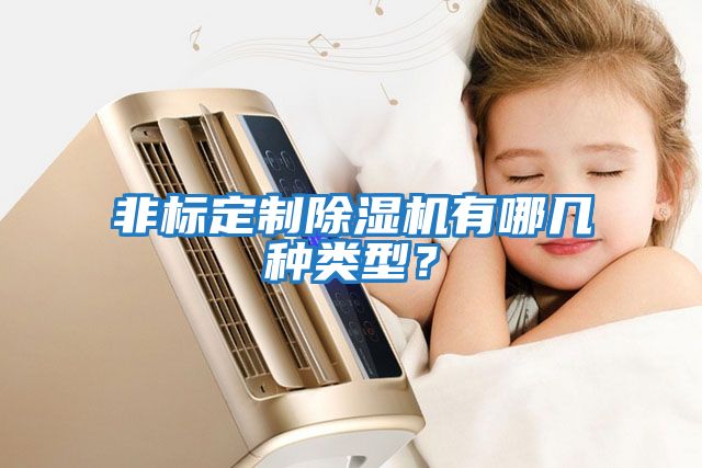 非標定制除濕機有哪幾種類型？
