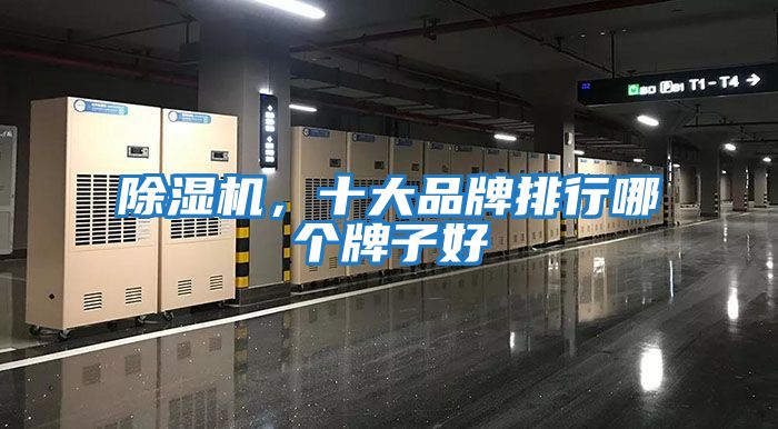 除濕機，十大品牌排行哪個牌子好