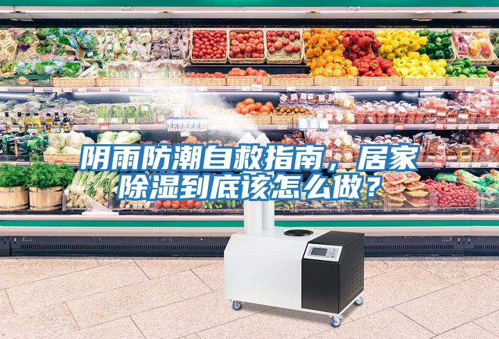 陰雨防潮自救指南，居家除濕到底該怎么做？